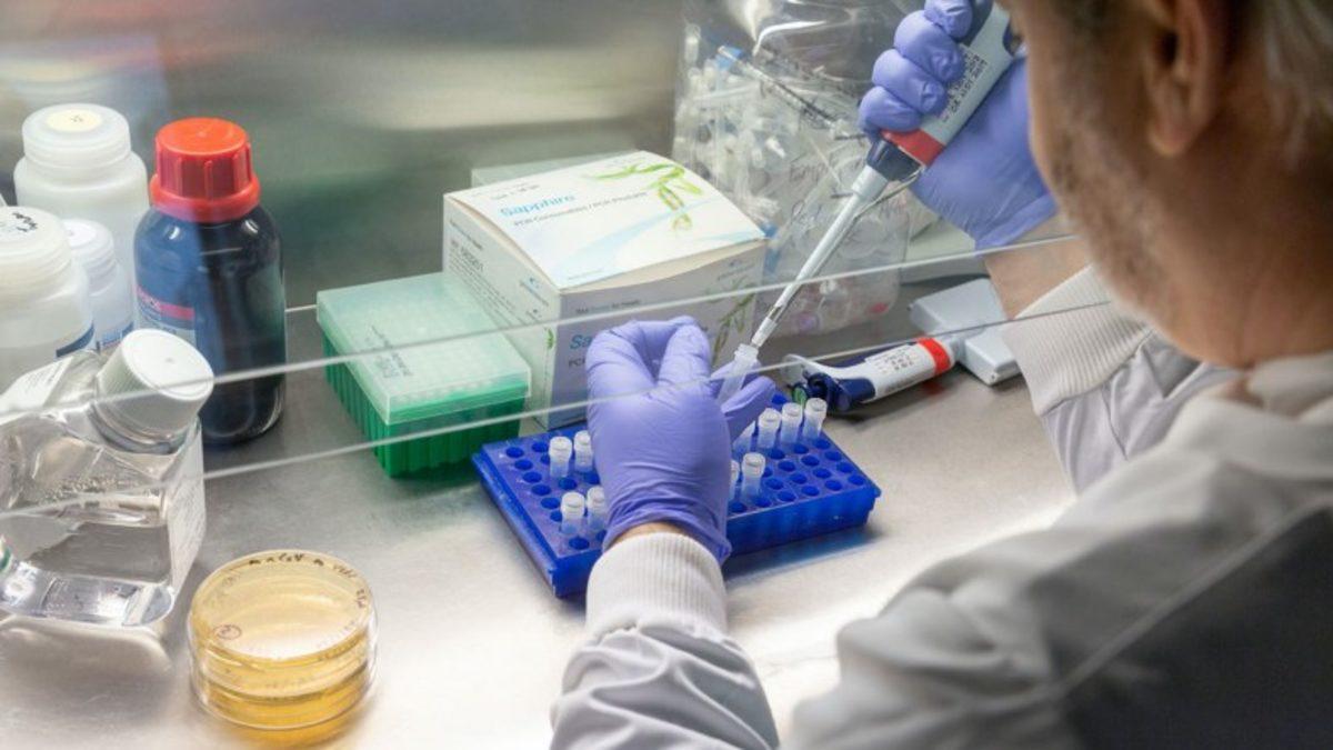 Virüs Uzmanı: Koronavirüsü Tamamen Yok Etmek Neredeyse İmkansız