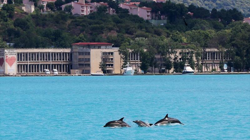 Koronavirüs Nedeniyle Türkiye’de Hava Kirliliği Yüzde 20 Azaldı