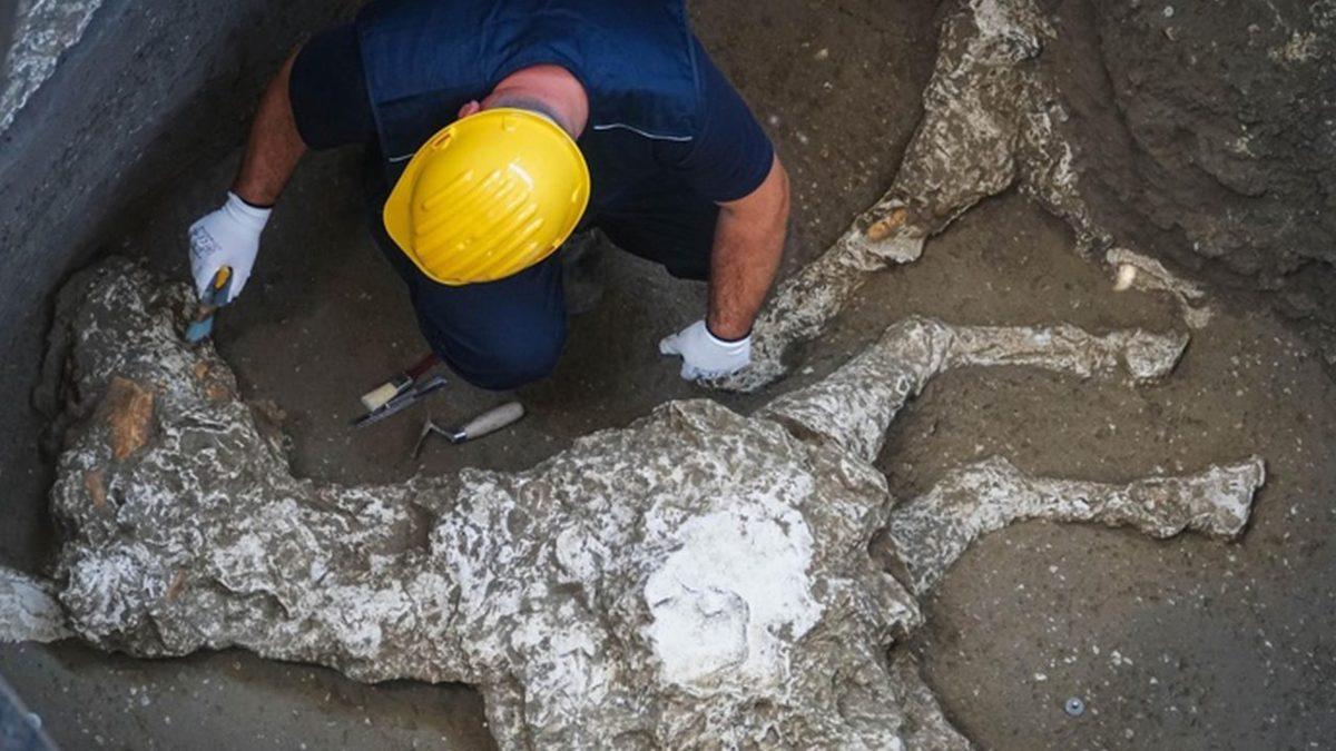 Yanardağ Patlamasıyla Yok Olan Pompeii Şehri Hakkında Daha Önce Duymadığınız 10 Bilgi