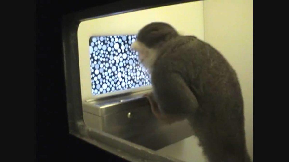 Matematiksel Bir Metot, Nasıl Gördüğümüze Işık Tutuyor