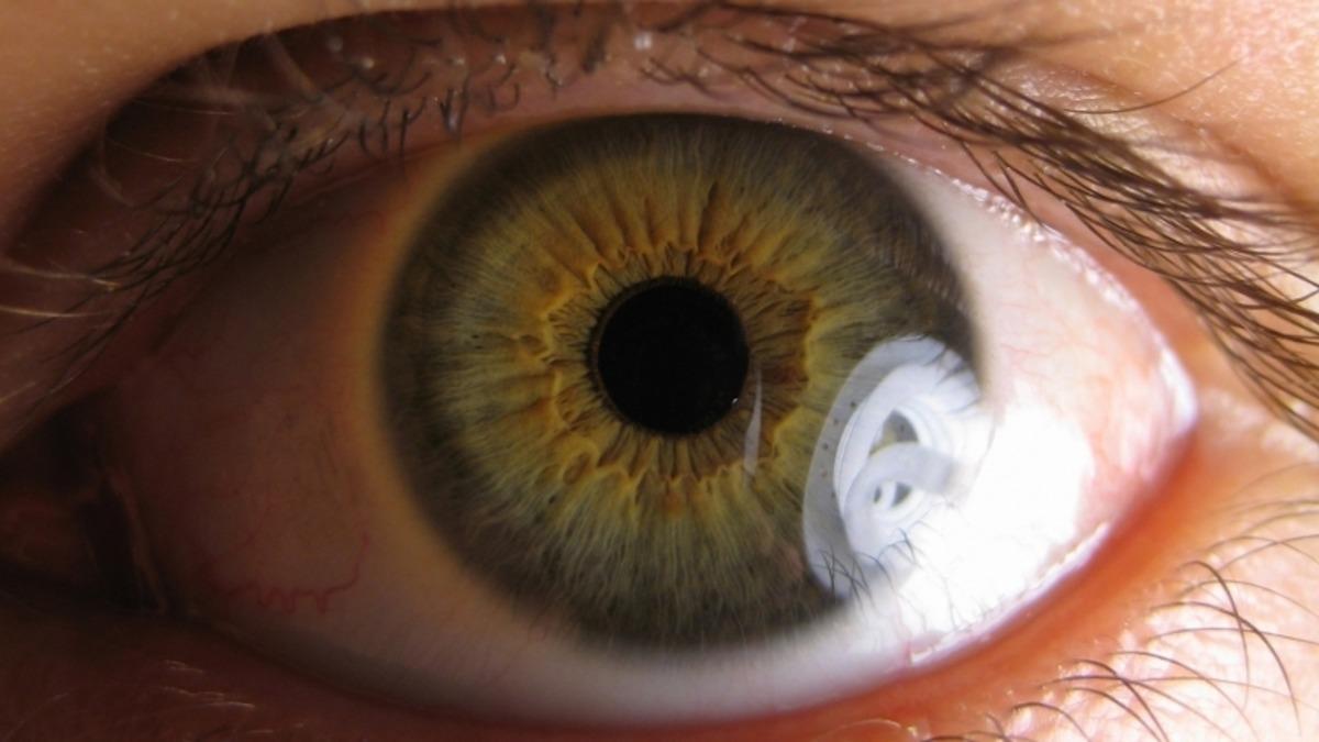 Matematiksel Bir Metot, Nasıl Gördüğümüze Işık Tutuyor