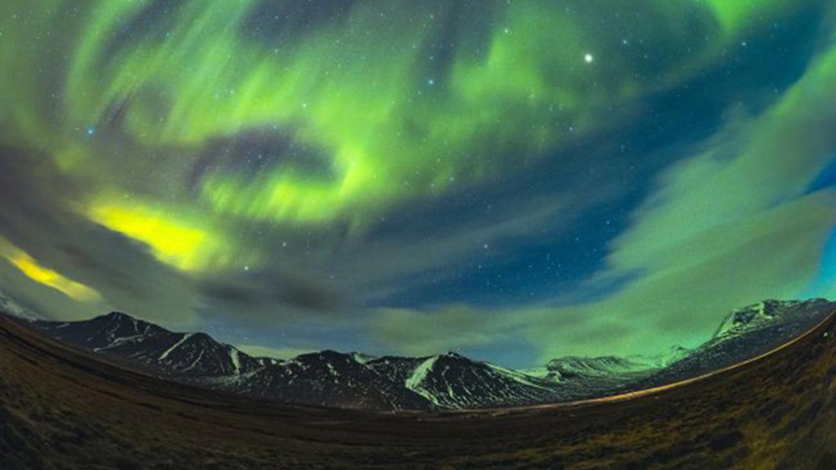 Gökyüzünde Bir Kuş ve Tavşanın Belirdiği İnanılmaz Aurora Fotoğrafı