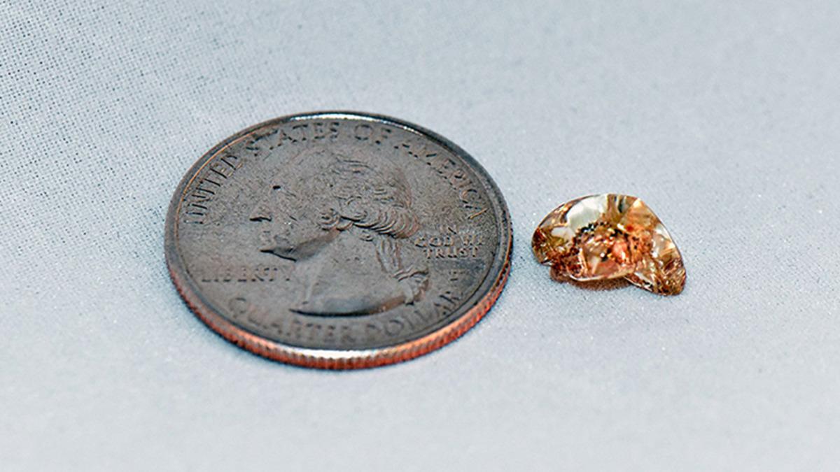 Bir Kadın, YouTube’dan ’Nasıl Elmas Bulunur?’ Videosu İzlerken 3,72 Karatlık Elmas Buldu