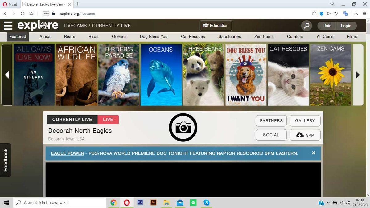 Öğrenince Unutmanızın Zor Olduğu 22 İnternet Sitesi