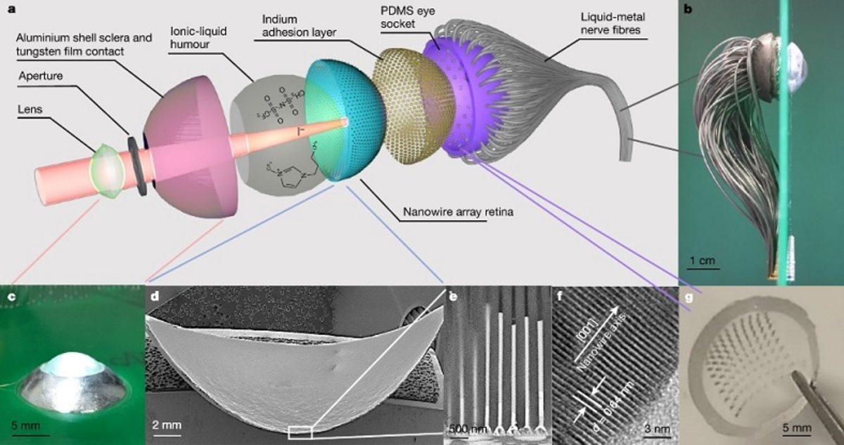 Güneş Enerjisiyle Çalışan, İnsan Gözüne Benzer Yapay Göz Geliştirildi