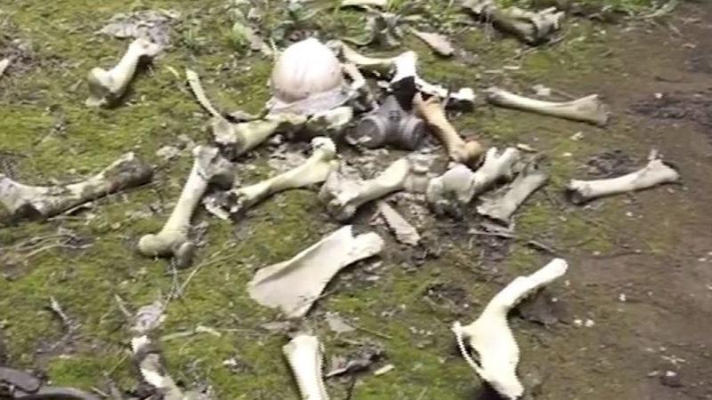 Bir Adam, Çernobil’i Gezdiği Sırada Kemik Yığınıyla Karşılaştı (Video)