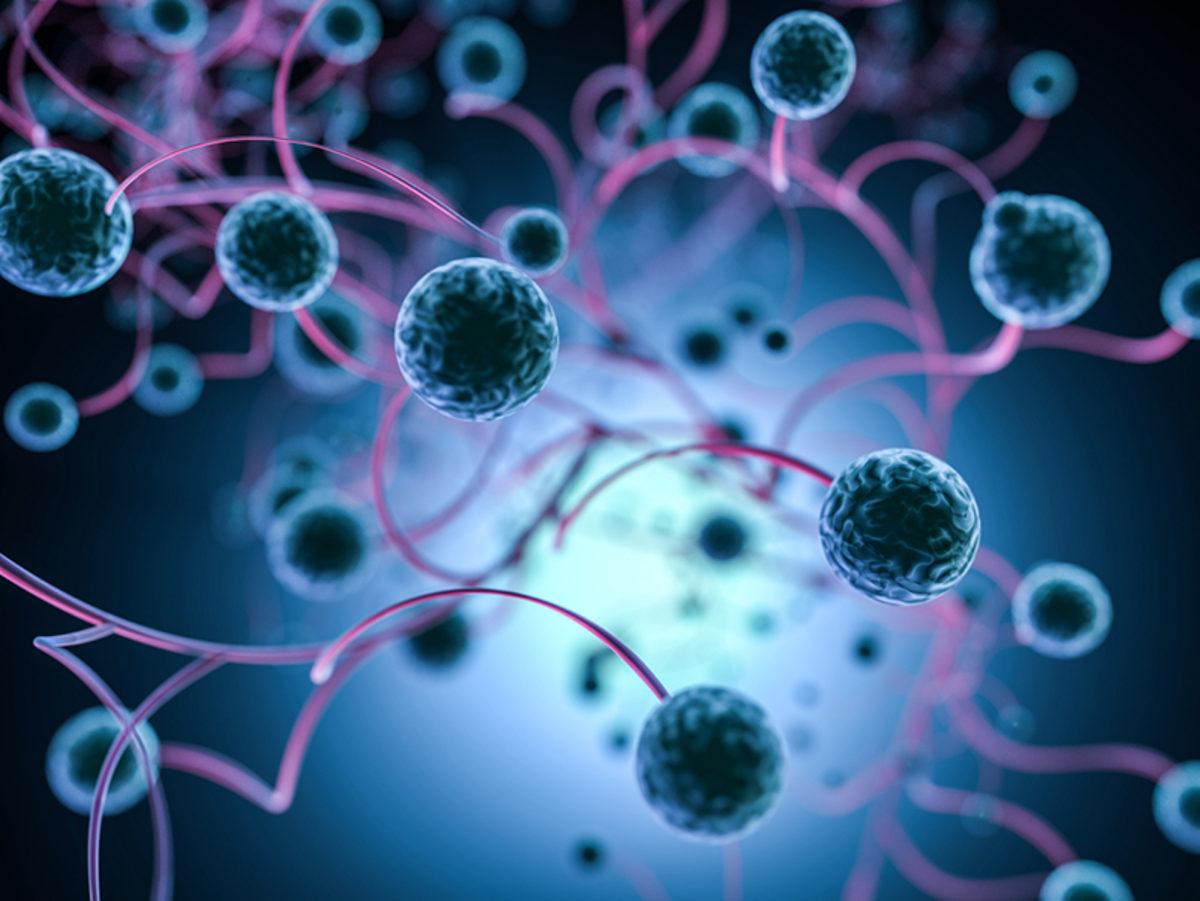 Dünyada İlk Kez Bir Bebeğe Karaciğer Tedavisi İçin Kök Hücre Nakledildi