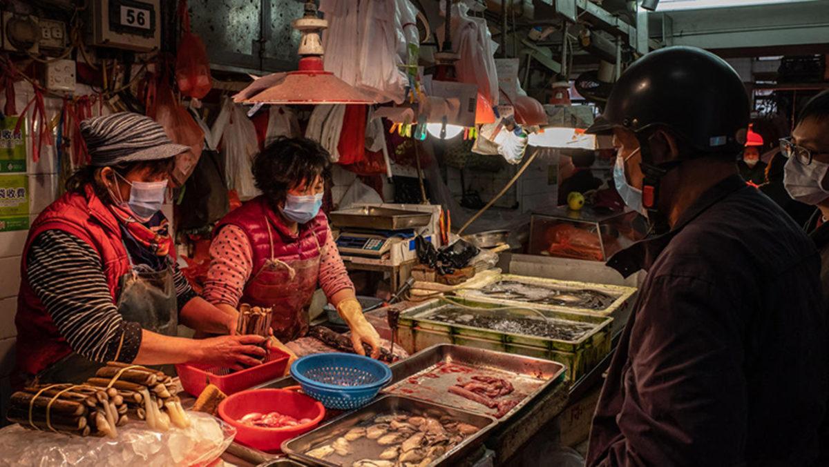 Koronavirüsün Sıfır Noktası Wuhan’da Yabani Hayvanları Yemek ve Avlamak Yasaklandı