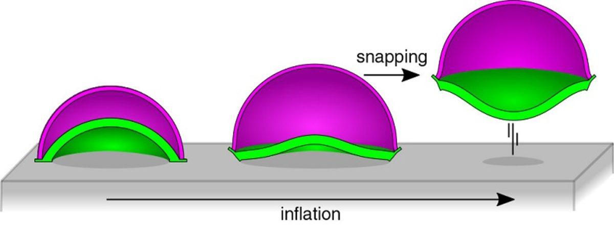 Araştırmacılar, Hızlı Hareket Edebilen Yumuşak Robotlar Üzerinde Çalışıyor