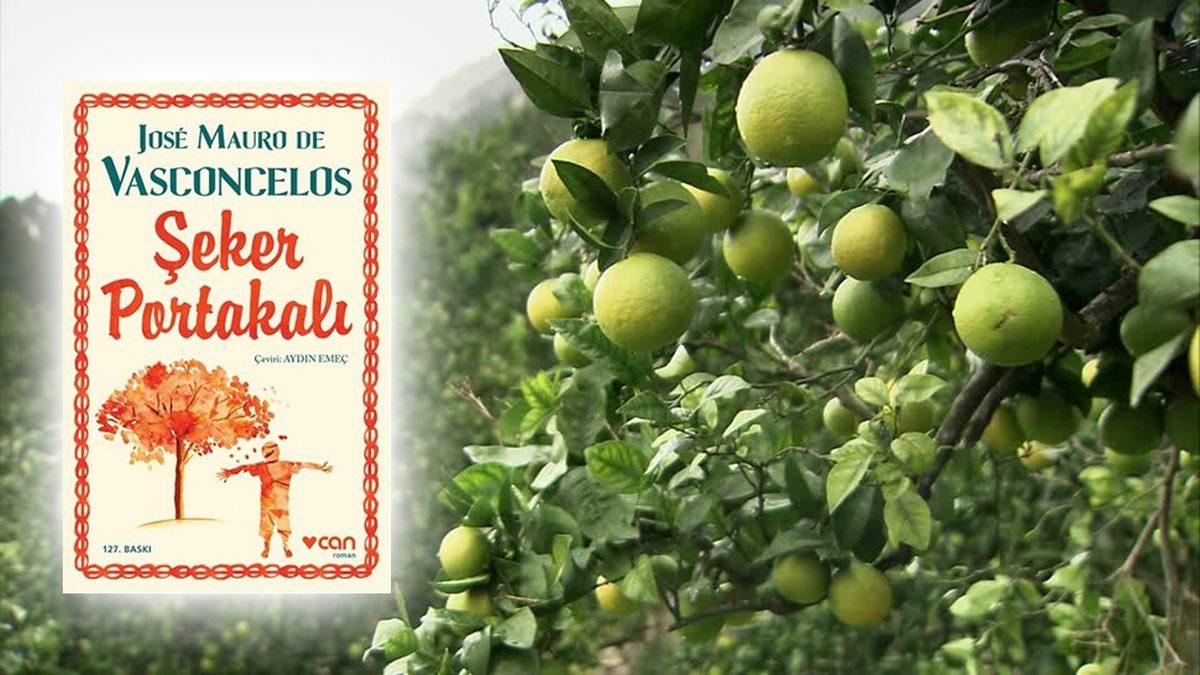 Kitapyurdu, D&R ve İdefix’e Göre Türkiye’de En Çok Satan 25 Kitap