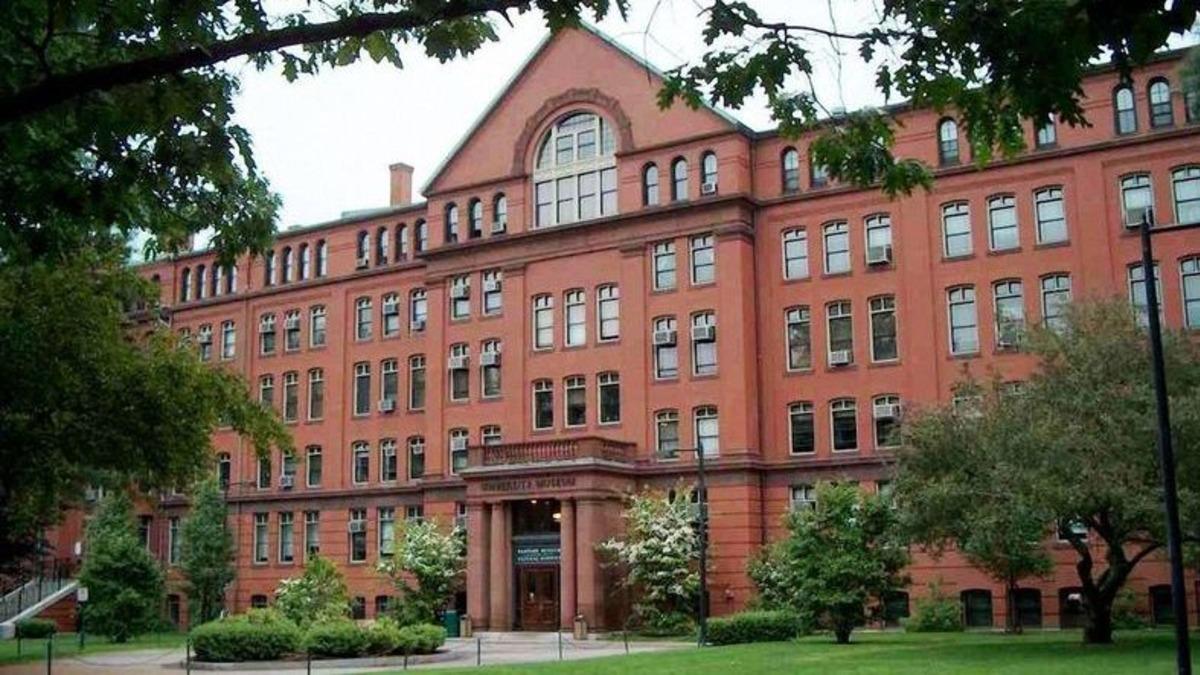 Bir Harvard Öğrencisi, Arkadaşının Sosyal Medya Paylaşımları Nedeniyle Sınır Dışı Edildi