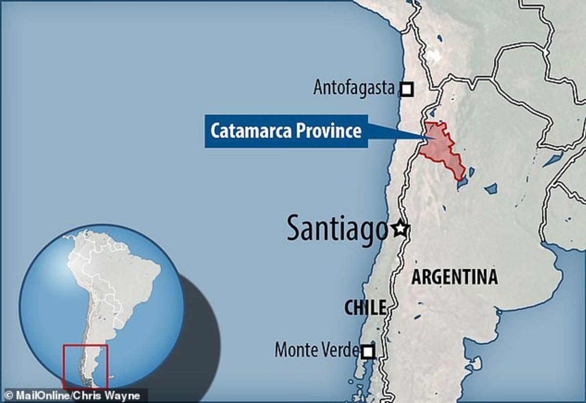 17 Bin Yıllık Puma Dışkısında Tarihin İlk Paraziti Bulundu