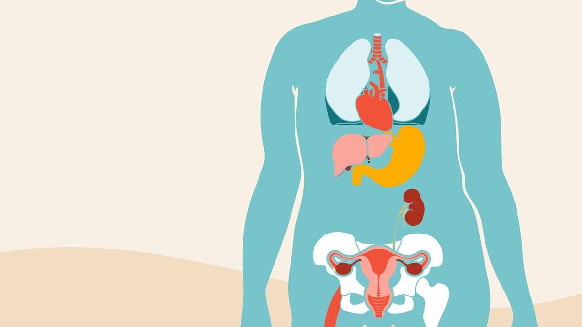 Obezitenin Kanser Riskini Sanılandan 2 Kat Daha Fazla Arttırdığı Anlaşıldı