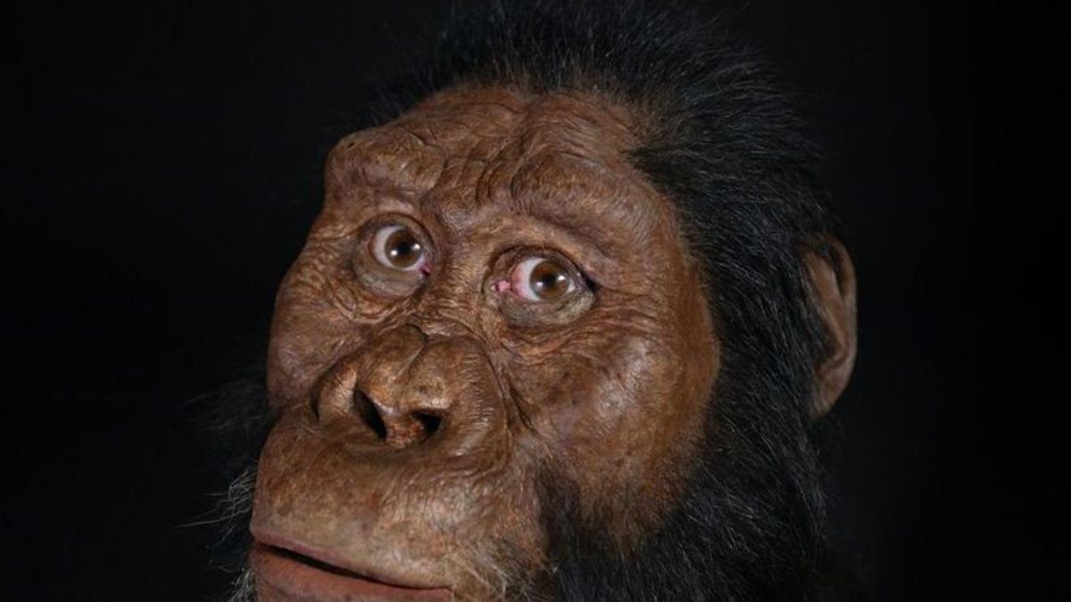Yıllar Süren Araştırma Sonuçlandı: İşte İlk İnsanın Görüntüsü