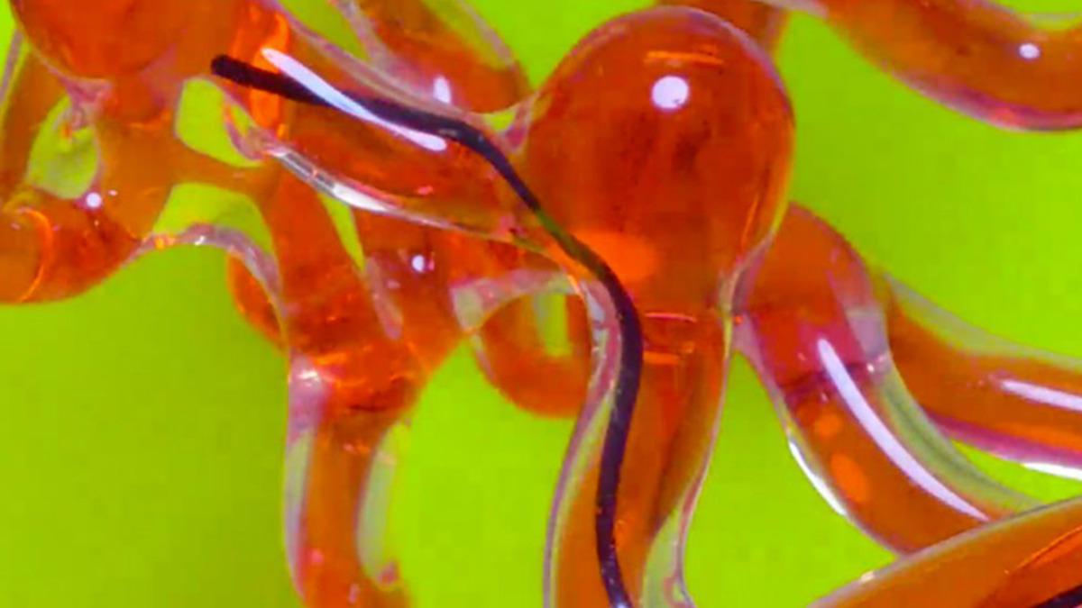 Beyin Damarlarının İçinde Rahatça Dolaşabilen Solucan Benzeri Robot