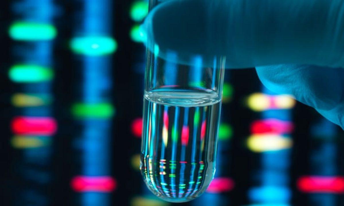 Bilim İnsanları, ‘Eşcinsel Geni’ İddialarını Boşa Çıkardı