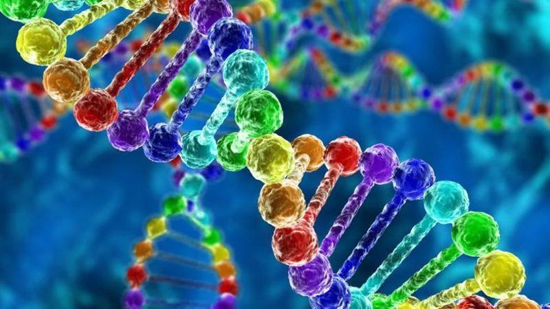 Bilim İnsanları, ‘Eşcinsel Geni’ İddialarını Boşa Çıkardı