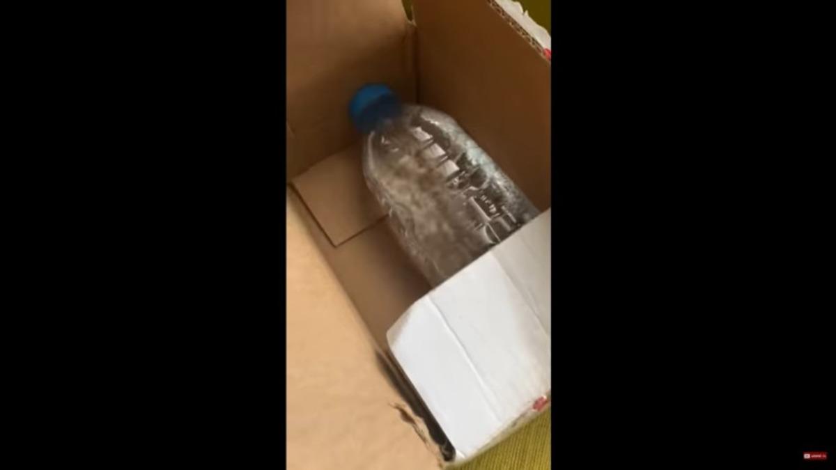 İddialara Göre Mediamarkt, Telefon Sipariş Eden Bir YouTuber’a Bir Şişe Su Gönderdi (Video) (Güncelleme)