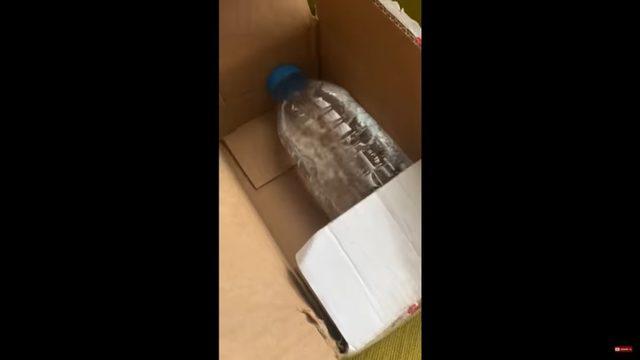 İddialara Göre Mediamarkt, Telefon Sipariş Eden Bir YouTuber’a Bir Şişe Su Gönderdi (Video) (Güncelleme)