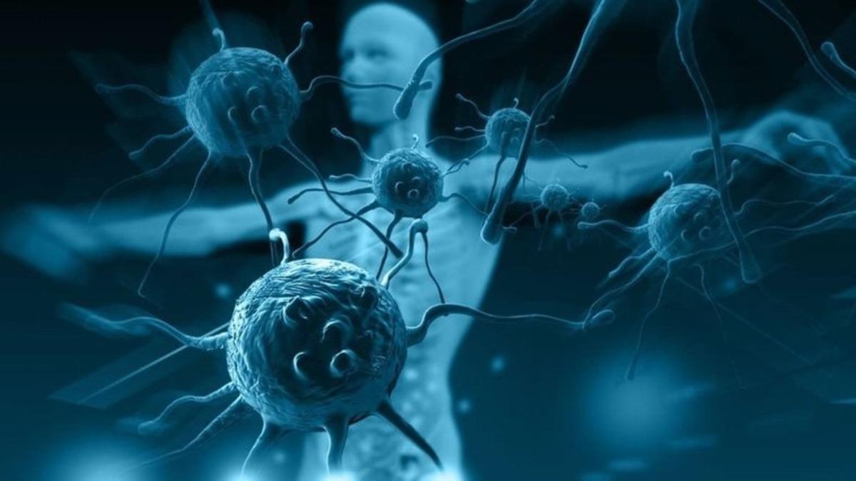 Yeni Bir Araştırma Koronavirüsten Kurtulanların 6 Ay İçinde Yeniden Enfekte Olacağını Söylüyor