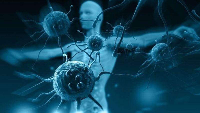 Yeni Bir Araştırma Koronavirüsten Kurtulanların 6 Ay İçinde Yeniden Enfekte Olacağını Söylüyor