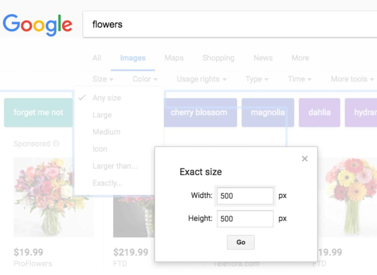 Google, Görseller’deki Tam Boyut Arama Filtresini Sessizce Kaldırdı