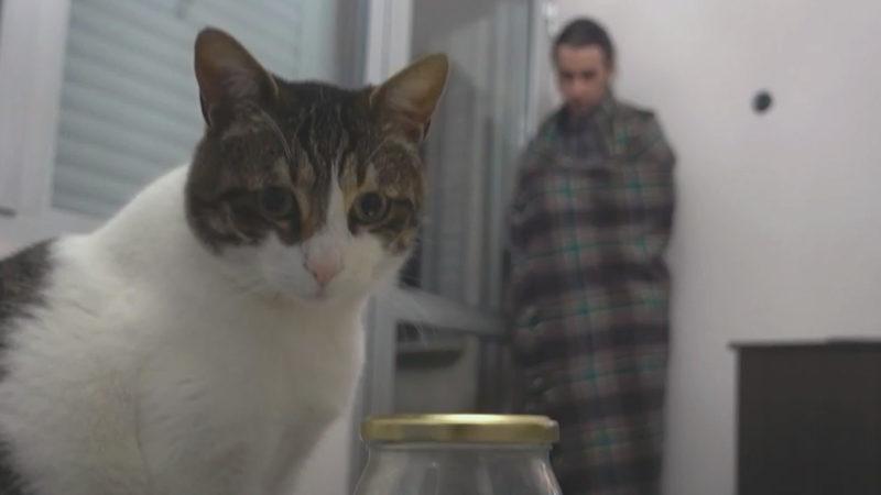 YouTube Kurgucumuz, Bir Kısa Film Yarışmasında Finale Kaldı (Oylarınıza İhtiyacı Var)