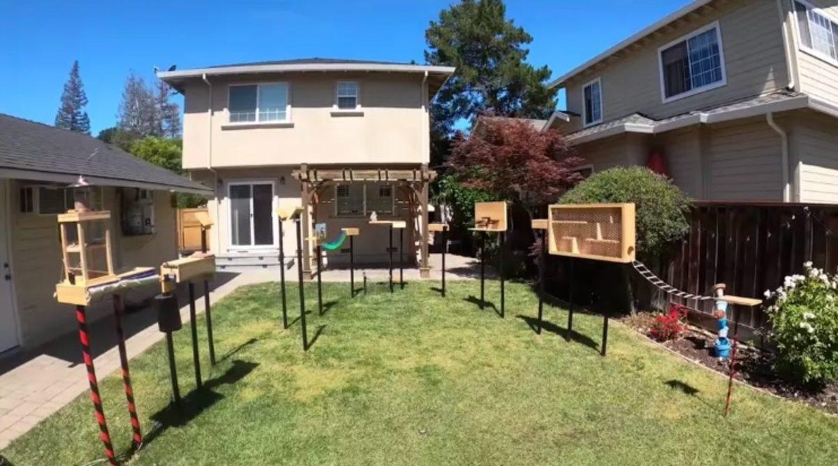 Eski Bir Apple ve NASA Mühendisinin Oluşturduğu Zorlu Sincap Parkuru (Video)