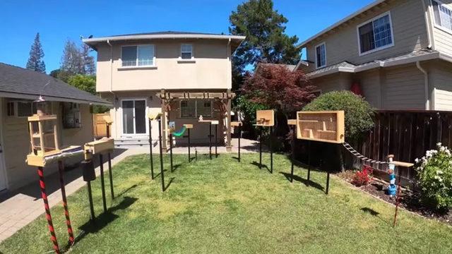 Eski Bir Apple ve NASA Mühendisinin Oluşturduğu Zorlu Sincap Parkuru (Video)