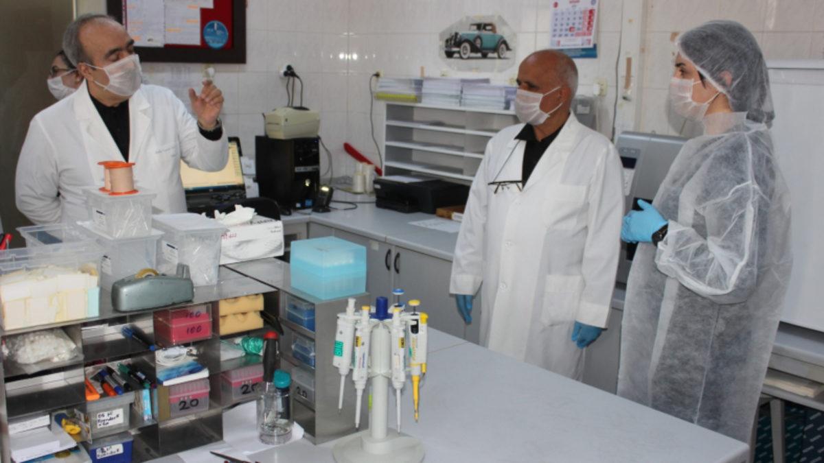 Türkiye’de Yapılacak Hayvan Deneyleri ile Bağışıklık Elde Edilecek