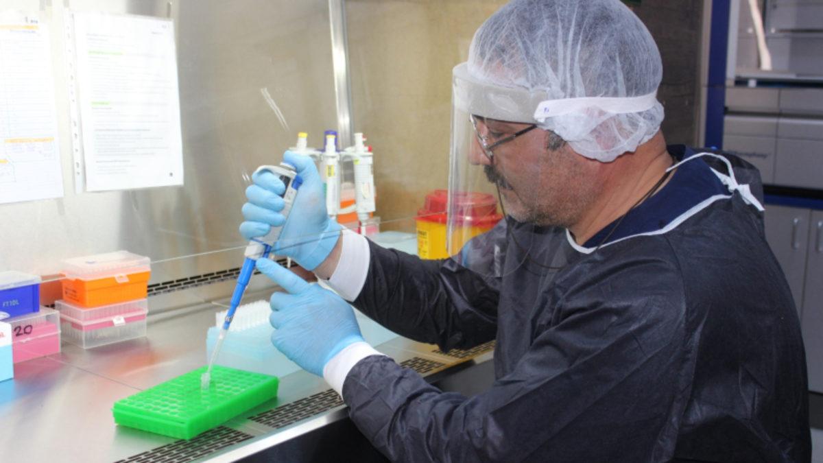 Türkiye’de Yapılacak Hayvan Deneyleri ile Bağışıklık Elde Edilecek