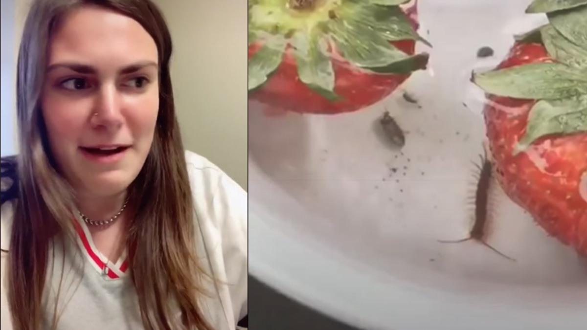 Tuzlu Su ve Çilek Deneyi Viral Olan TikTok Fenomeni: Hepinizi Kandırdım