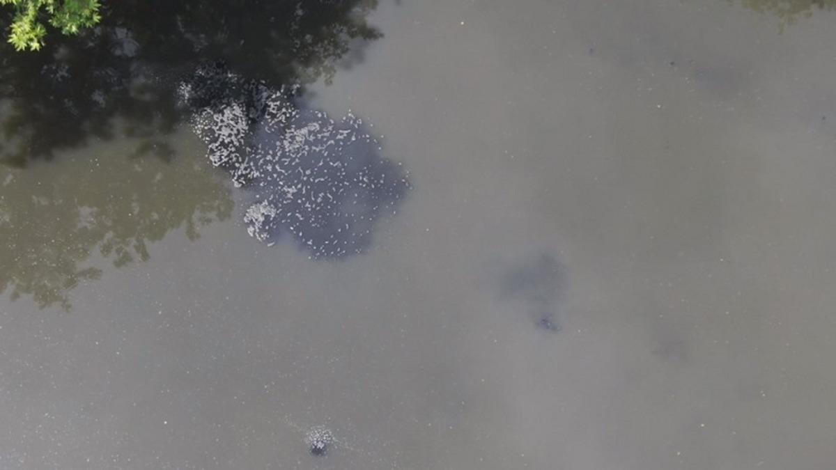 Türkiye’de Yapılan Çalışmalarda, Dünyada İlk Kez Çamurda Koronavirüse Rastlandı