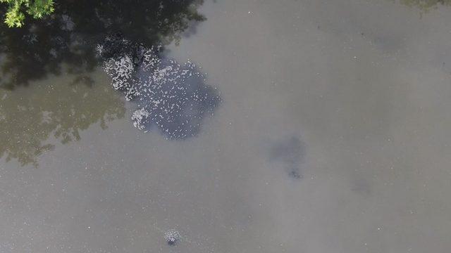 Türkiye’de Yapılan Çalışmalarda, Dünyada İlk Kez Çamurda Koronavirüse Rastlandı