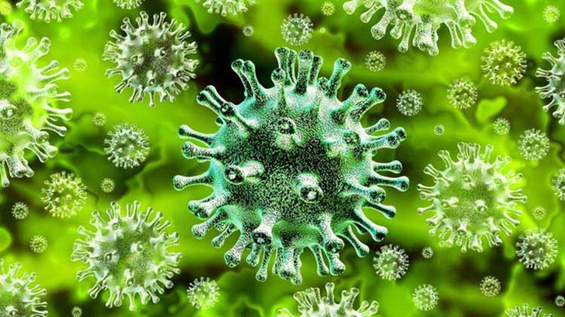 Bilim İnsanları, Koronavirüsün İnsan Hücrelerine Nasıl Girdiğini Gözlemledi