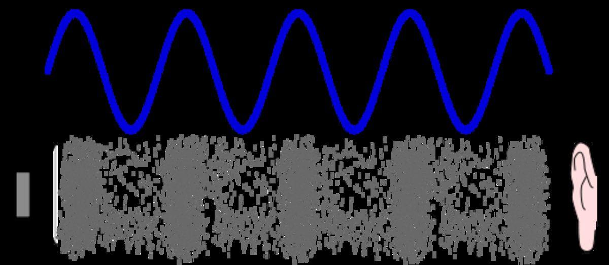 Duyabildiğimiz Sesler Hangileridir? Hangi Aralıktaki Sesleri Duyabiliyoruz?