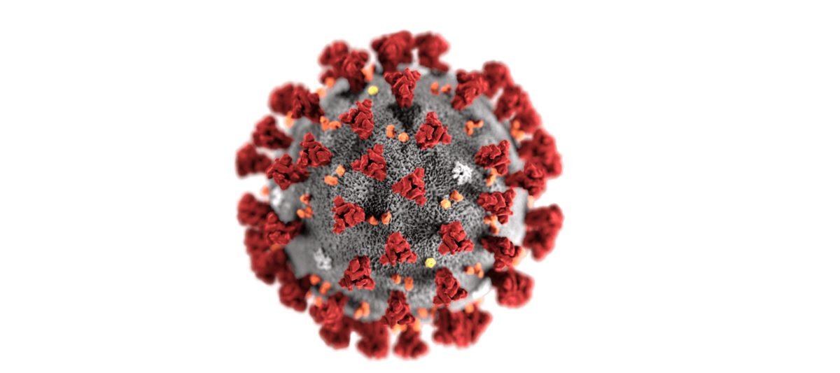Çin, Koronavirüsün Wuhan’daki Canlı Hayvan Pazarından Çıkmadığını İddia Ediyor