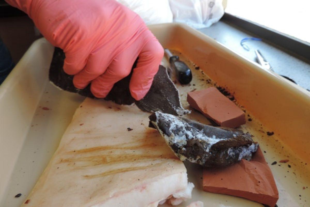 Türk Bilim İnsanı, Donmuş İnsan Dışkısından Bıçak Üretti