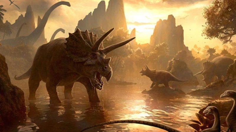 Milyonlarca Yıl Önce Yaşanan Büyük Tükenişin Nedeni Ozon Tabakasının Zarar Görmesi Olabilir