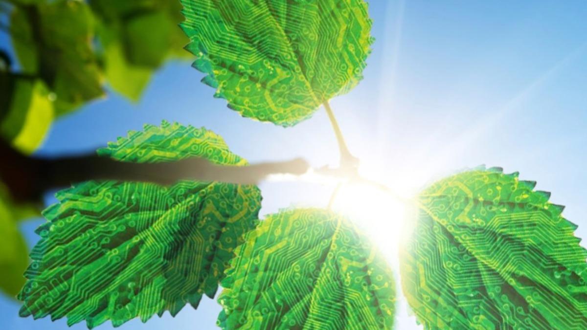 Terahertz Dalgaları, Çok Hızlı Yapay Fotosentez İçerisindeki Gizli Süreci Açığa Çıkardı