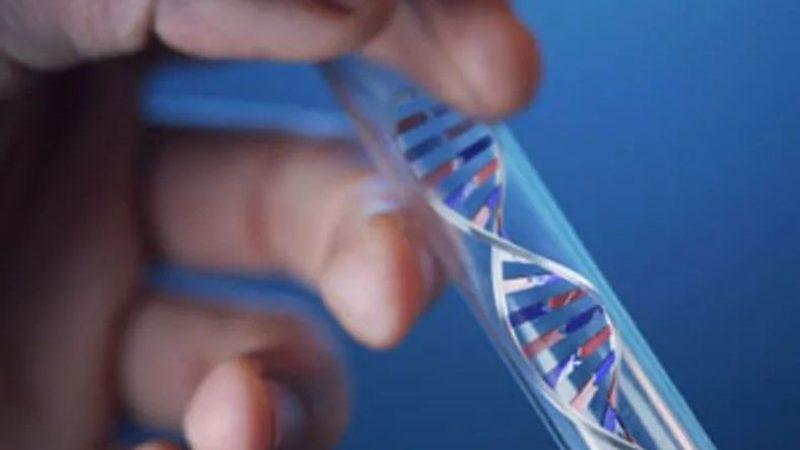 Bir Şirket, 99 Dolara DNA’nızı Ay’a Gönderiyor