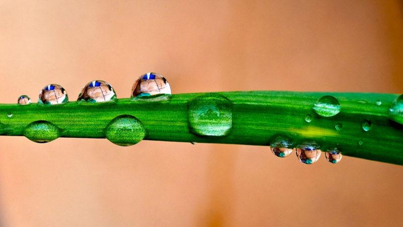 İki Yeni Araştırmaya Göre Nem, Koronavirüsün Yayılmasını Önlüyor