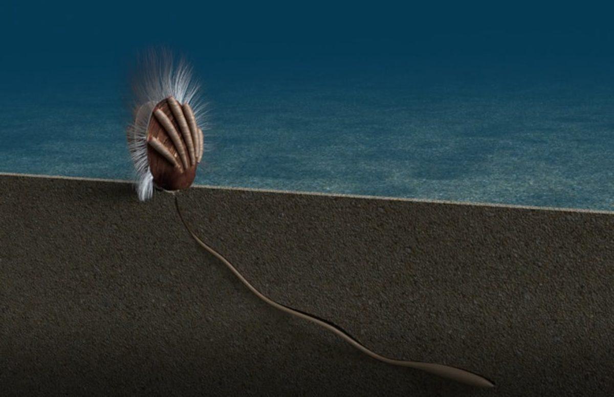 Bilim İnsanları, Dünyanın En Eski Parazit Fosillerini Ortaya Çıkardı