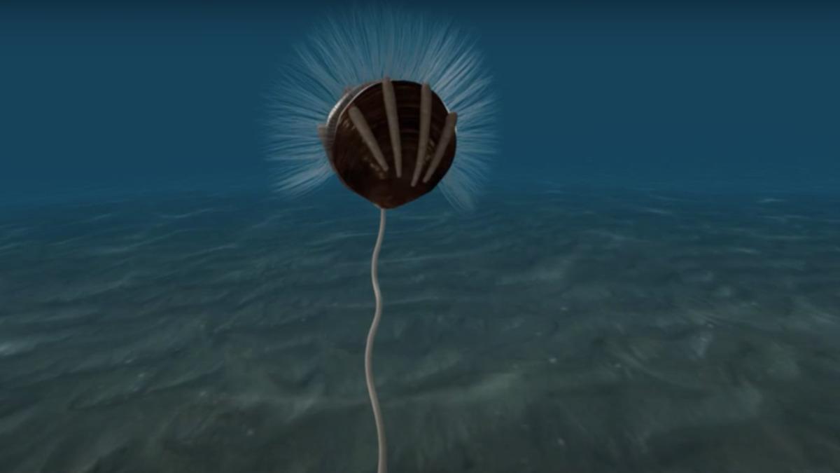 Bilim İnsanları, Dünyanın En Eski Parazit Fosillerini Ortaya Çıkardı