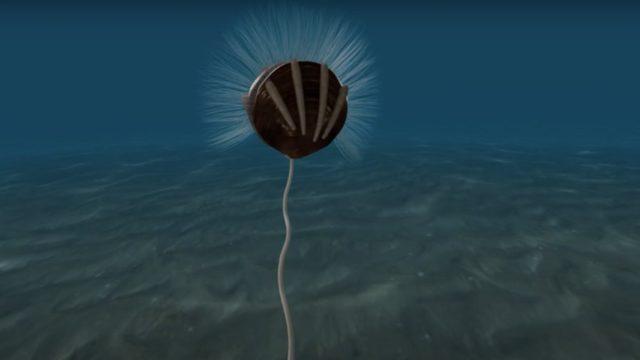 Bilim İnsanları, Dünyanın En Eski Parazit Fosillerini Ortaya Çıkardı