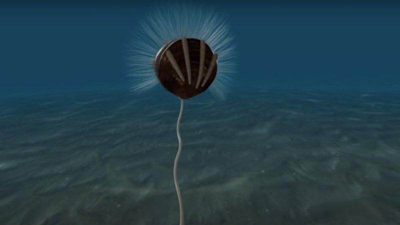 Bilim İnsanları, Dünyanın En Eski Parazit Fosillerini Ortaya Çıkardı