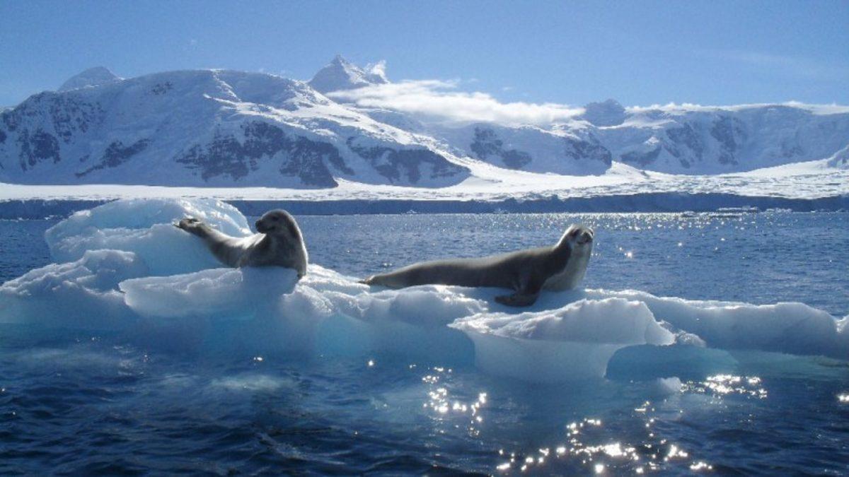 Dünyanın En Temiz Havasına Sahip Bölgesi Açıklandı
