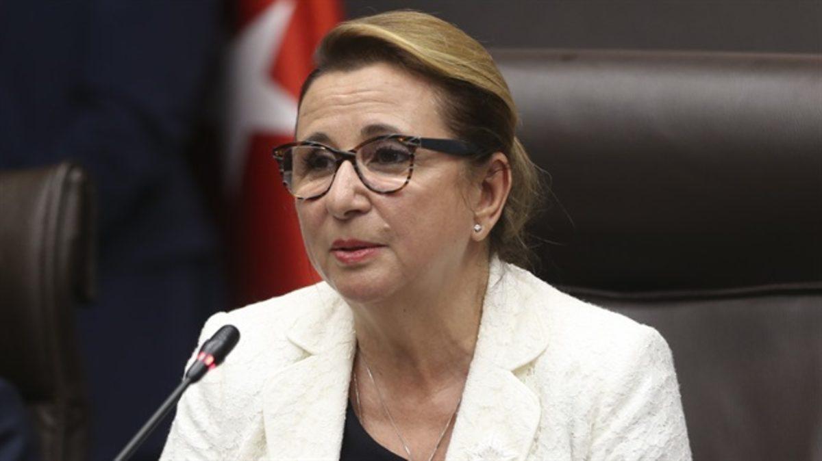 Ticaret Bakanı Pekcan: Teknoloji Seraları Kuracağız