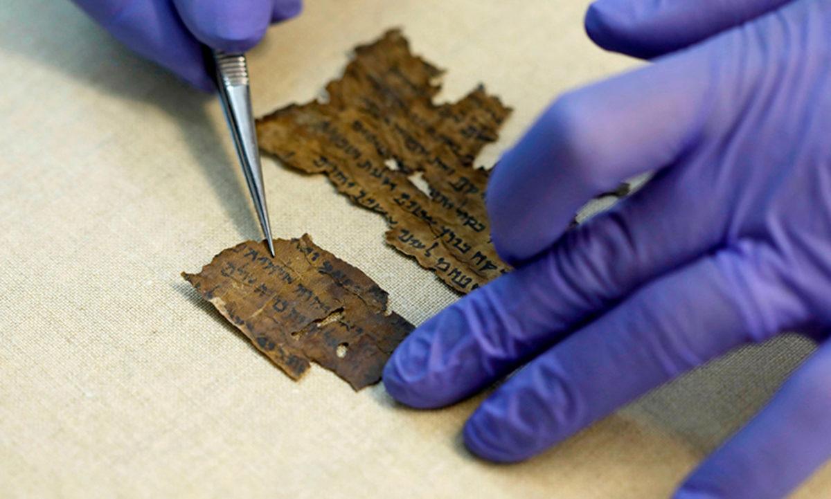 Antik Parşömenlerin Kaynağını Bulmak İçin Yapıldıkları Hayvanların DNA’ları İnceleniyor