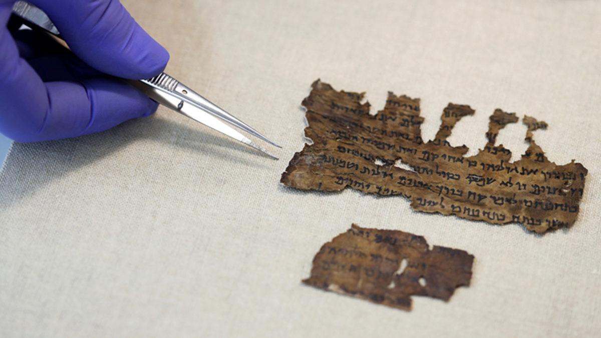 Antik Parşömenlerin Kaynağını Bulmak İçin Yapıldıkları Hayvanların DNA’ları İnceleniyor